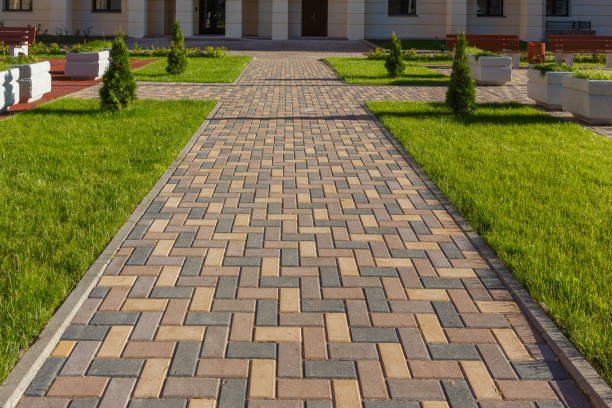Best Professional Driveway Pavers  in Greensboro, MD